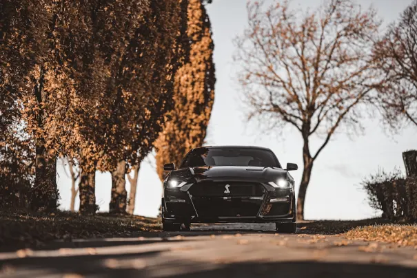 Fbet Casino Application Android/iOS